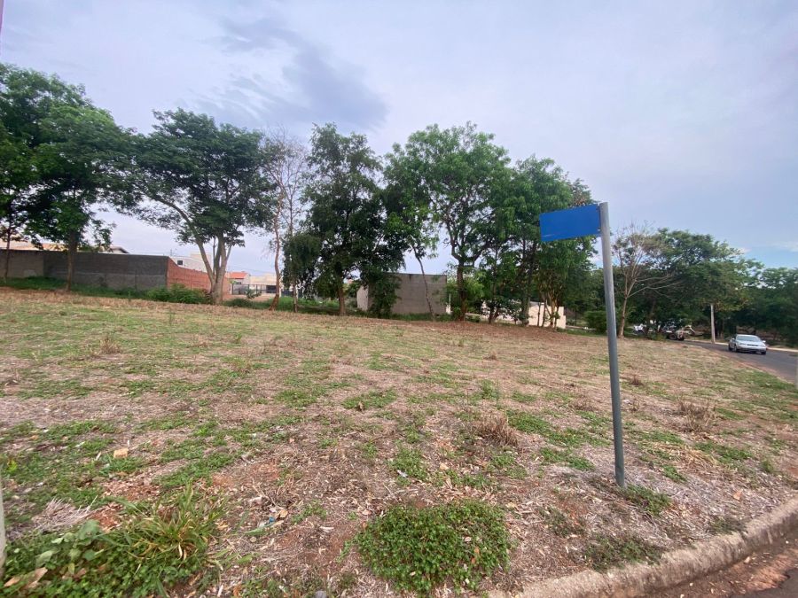 Terreno - Venda - Jardim Universitario - Santa F do Sul - SP