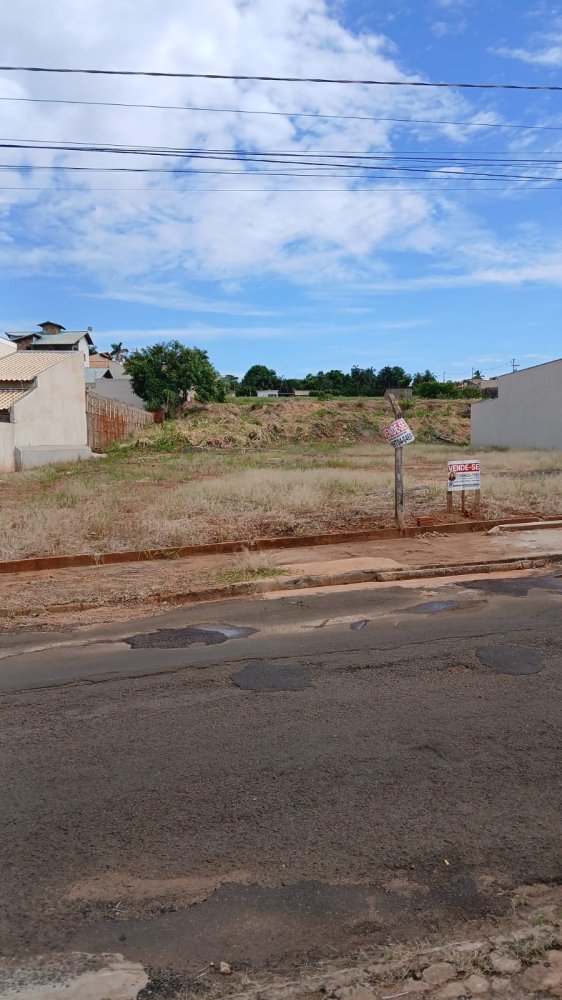 Terreno - Venda - Prximo Ao Centro - Santa F do Sul - SP